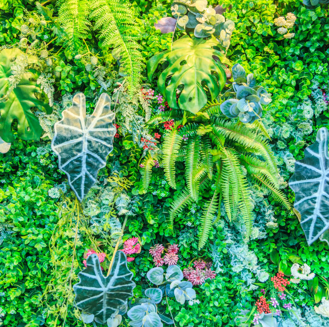 jardín vertical