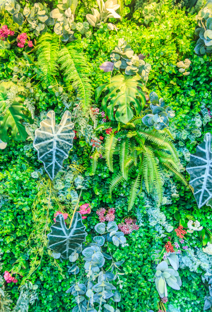 jardín vertical